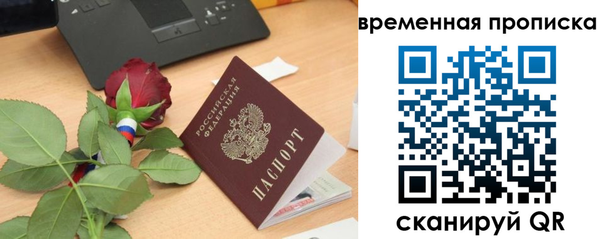 временная регистрация поиск в Жукове